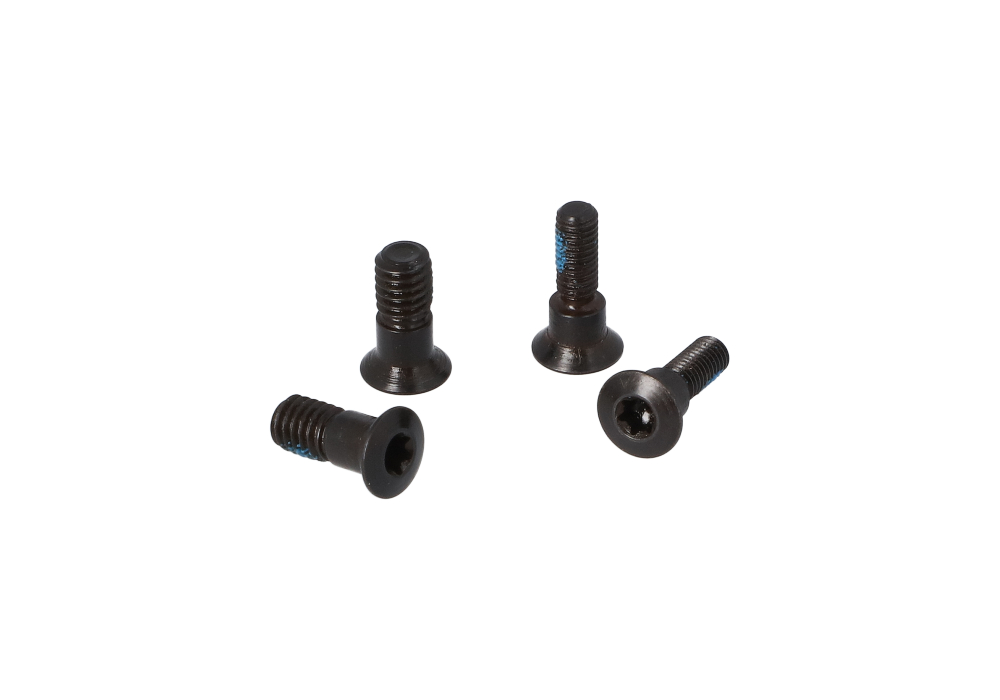 Assembly Screws
