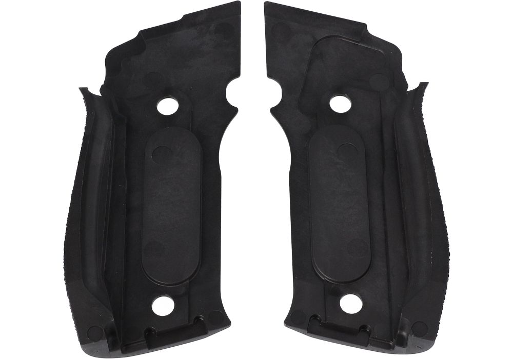 P226 X SAO LEGION TXG GRIPS