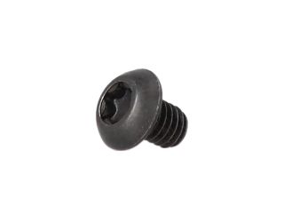 SIGHT PLATE COVER SCREW (1)