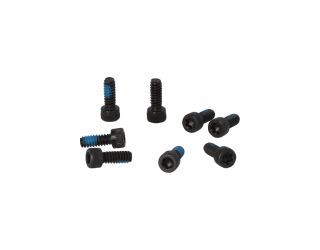 ALPHA4 RING CAP SCREWS QTY (8)