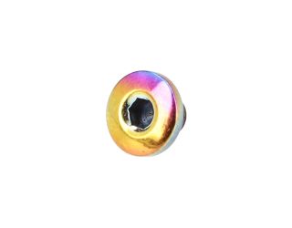 P238 RAINBOW HEX GRIP SCREW