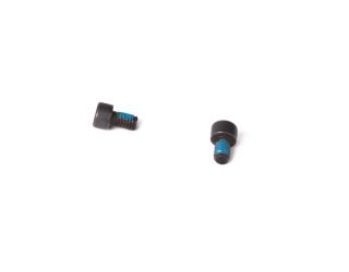 P320 X SIGHT PLATE SCREWS