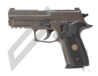 P229 LEGION