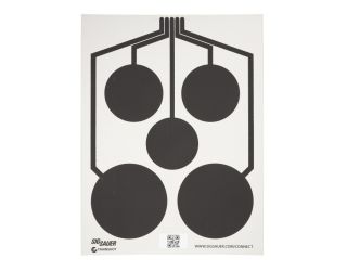 T300 (MULTI ZONE) TARGETS 5 PACK