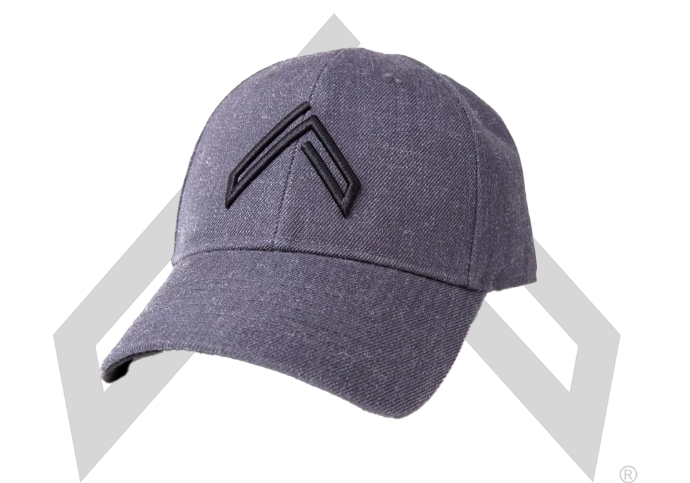 LEGION -  DARK GRAY HAT