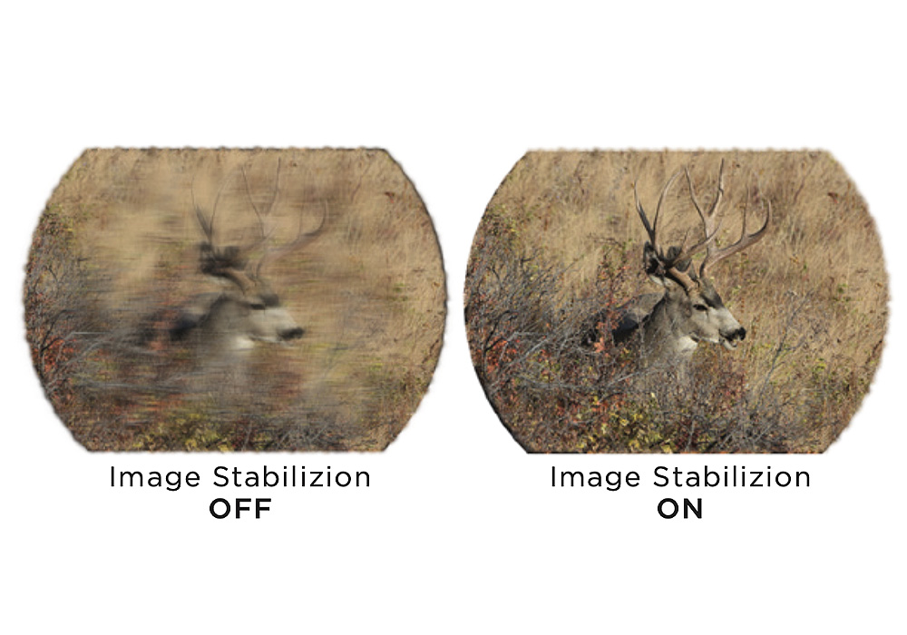 Zulu6 hdx binocular 20x42mm