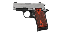 P238 Accessories